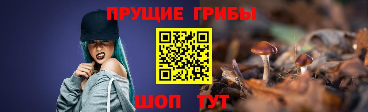 Шелехов  Псилоцибиновые грибы ЛСД  Вход с VPN  даркнет сайт  Псилоцибиновые грибы MAGIC MUSHROOMS 